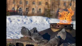 Северодвинск 15.02.2022 Вечный Огонь