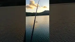 когда ждёшь его и он приходит. бонус на фидер. борьба #рыбалка #feeder #gerafishing