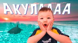 🏖 Кусочек ЛЕТА ☀️ 🏝 среди ЗИМЫ ❄️ 🌨