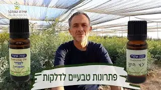 פתרונות טבעיים לדלקות