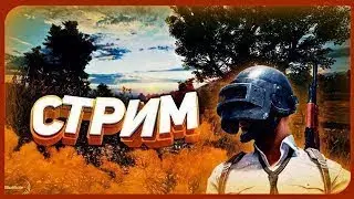 Пубг дуо с Чемпионом!