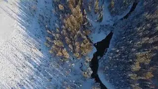 Дорога на алтай