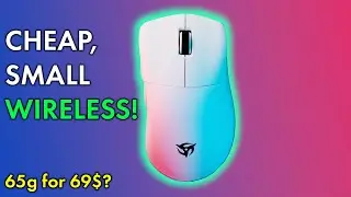 Underrated Cheap GAMING MOUSE? Ninjutso Origin One X