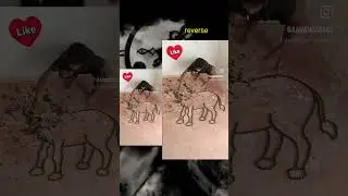 Reverse video and original video #techi #editing #shorts #youtube #shortvideos #trending #song