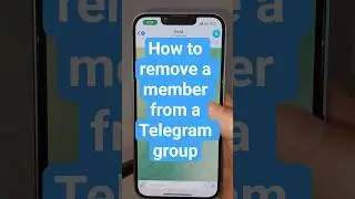 How to remove a member from a Telegram group