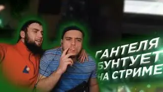 БУХАЧ СТРИМ! ГАНТЕЛЯ СНОВА БУЯНИТ/НАХАМИЛ ДОСТАВЩИКУ ЕДЫ!?