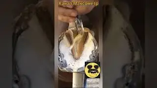 Мегаполис или свой конь? Максометр.