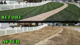I KILLED My Fescue Lawn to Convert it to Bermuda