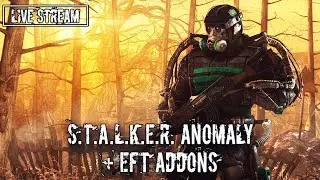 🔥САМЫЙ ТОПОВЫЙ МОД НА STALKER🔥 | S.T.A.L.K.E.R.: Anomaly + EFT #8