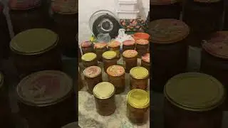 26 марта 2024 г.