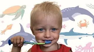 This Is The Way Kids Song with Alex