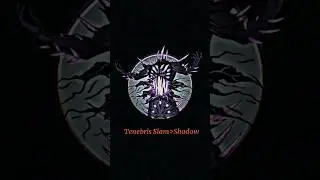 Shadow Slam...🗿#edit#shadowfight2