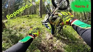 Из Минино в Боровое Часть 2! Пробираемся через лес... GR7 2t, Beta 300rr, KX450