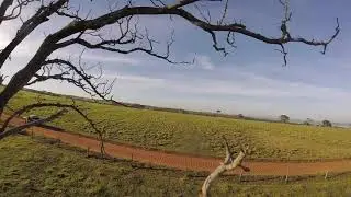 Primeiro mês de voo FPV - Batalha Drone X Arvore