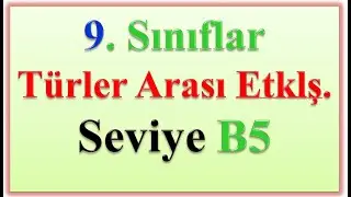 9 .SINIFLAR TÜRLER AR  ETKL  SEVİYE B5