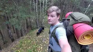 Не ПВД, Не выживание. Что за гриб? Прогулка 24 часа.