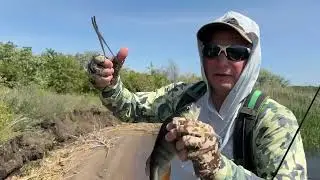 Ці приманки хапає хижак!