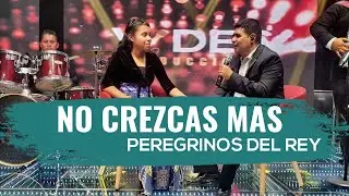 No Crezcas Más- Peregrinos del Rey