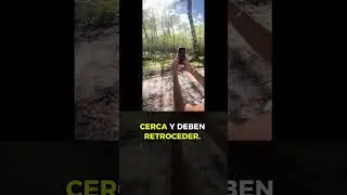 Este Filtro te Aleja de Animales 😧