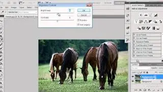 Photoshop - Image to cartoon
