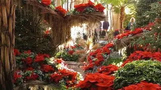 holiday season at longwood gardens | vlog #7