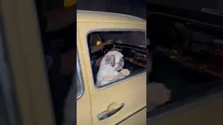 Patrai Patrai - pipi na Variant
