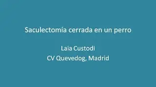 Saculectomía cerrada en una perra
