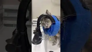 The revenge was sweet 😼 