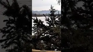 сидим на лабазе. ПОДПИШИСЬ✅