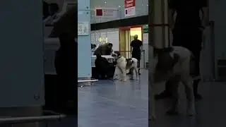 Подготовка к полету