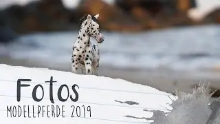 Modellpferde FOTOS (Schleich, Breyer) 📷 - Summer/Winter 2019 ♡