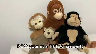 POV: your at a TikTok rizz party 