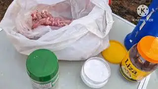 Fomos na chácara ver os pé de mangueiras 