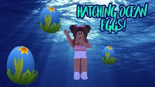 Hatching OCEAN EGGS! Can I get a LEGENDARY?