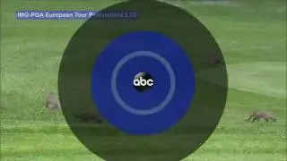 Pack of Mongooses Invade PGA Event