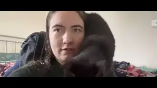 Work from home day and my cat is ‘helping’