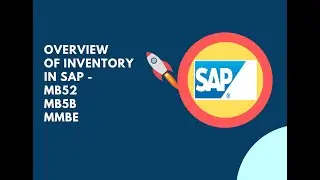 Inventory Overview in SAP