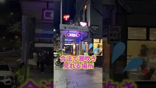 合法で潮吹き見れる場所　#オーストラリア