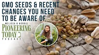 EP: 419 GMO Tomatoes & What You Need to Know