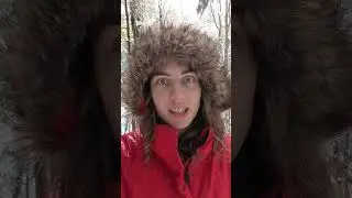Let's do some sustainable foraging on the forest floor!