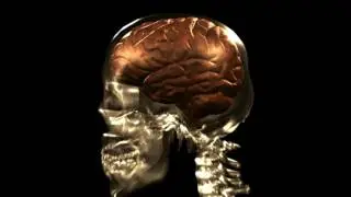 Aimless wandering thoughts are good for the brain