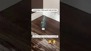 🎄😅😅