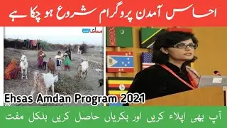 Ehsas Amdan Program || Ehsas Code | Ehsas Kafalat 2021 | Ehsas 12000 |Ehsaas 2021|احساس آمدن پروگرام