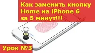 Замена кнопки home на iPhone 6, инструкция как своими руками заменить кнопку хоме на айфоне 6
