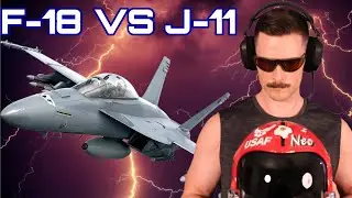 Real Fighter Pilot F-18 vs Chinese J-11 | DCS