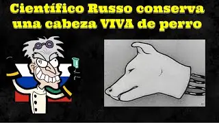 Cosas que los humanos nunca debieron ver  😱 Parte 108