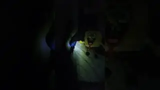 when every thing goes wrong