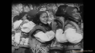 Карпаторусинська Нація