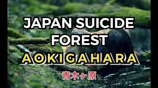 Japan SUICIDE Forest • Aokigahara ,【青木ヶ原樹海】, Virtual Japan, Japan 2021 #japanese