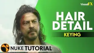 Nuke Compositing Tutorials | Getting Hairs Detail in IBK Gizmo | VisualFX_Explorers